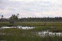 FINLANDE_20110007_-.jpg