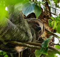 R5_CO_R0A5543 p ON1.jpg