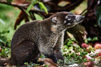 R5_CO_R0A6562 ON1.jpg