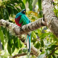 R5_CO_R0A7179 p ON1.jpg