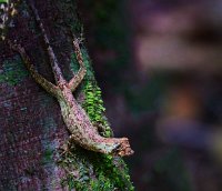 R5_CO_R0A3940 s_ON1 1.jpg