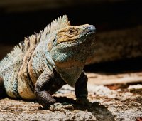 R5_CO_R0A5733 p ON1.jpg